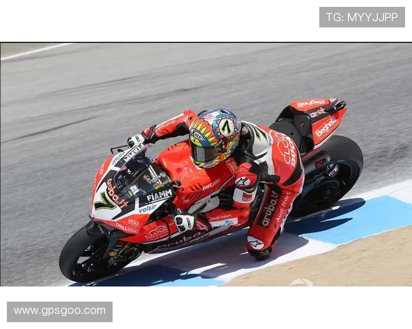 世界板球锦标赛投手的心理博弈战术图解