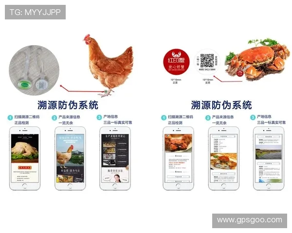 体育赛事官方周边防伪溯源的近场通信技术